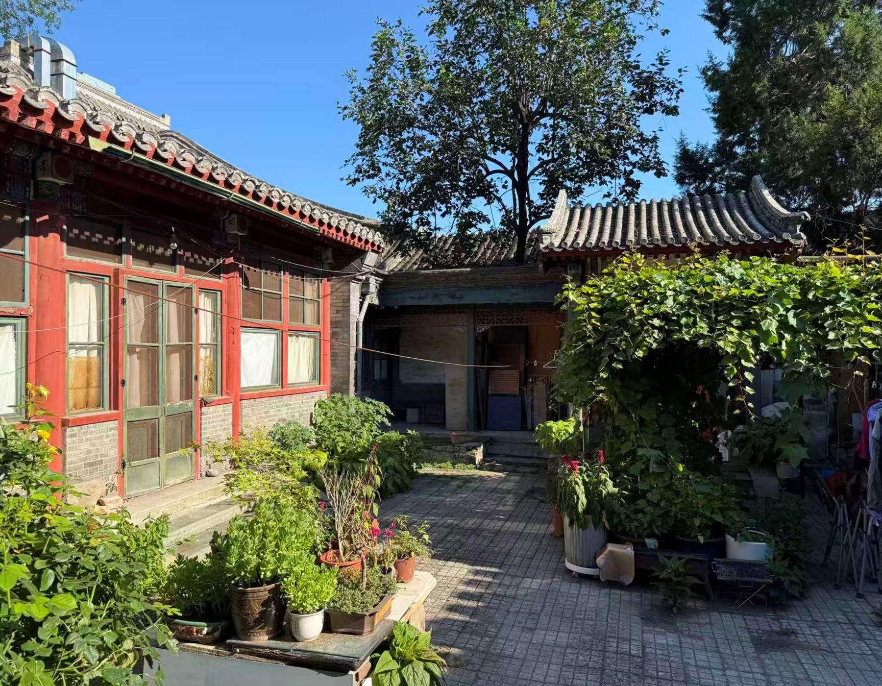 街巷观察